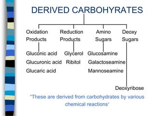 7-chemistry-of-carbohydrates.ppt