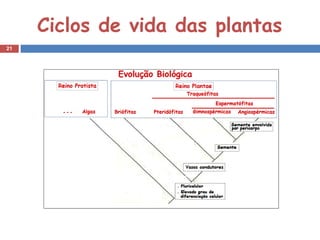 Ciclos de vida das plantas
21




                     M
 