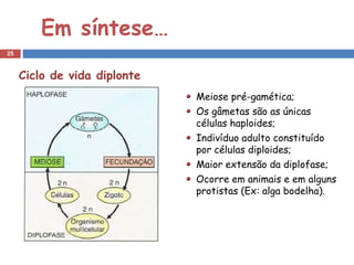 Em síntese…
25



     Ciclo de vida diplonte
                              Meiose pré-gamética;
                              Os gâmetas são as únicas
                              células haploides;
                              Indivíduo adulto constituído
                              por células diploides;
                              Maior extensão da diplofase;
                              Ocorre em animais e em alguns
                              protistas (Ex: alga bodelha).
 