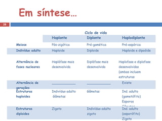 Em síntese…
28


                                           Ciclo de vida
                        Haplonte            Diplonte             Haplodiplonte
     Meiose             Pós-zigótica        Pré-gamética         Pré-espórica
     Indivíduo adulto   Haploide            Diploide             Haploide e dipoóide


     Alternância de     Haplófase mais      Diplófase mais     Haplofase e diplofase
     fases nucleares    desenvolvida        desenvolvida       desenvolvidas
                                                               (ambas incluem
                                                               estruturas
     Alternância de     ____________        ____________       multicelulares)
                                                                 Existe
     gerações
     Estruturas         Indivíduo adulto    Gâmetas              Ind. adulto
     haploides          Gâmetas                                  (gametófito)
                                                                 Esporos
                                                                 Gâmetas
     Estruturas         Zigoto              Indivíduo adulto     Ind. adulto
     diploides                              zigoto               (esporófito)
                                                                 Zigoto
 