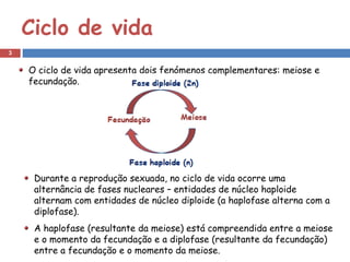 Ciclo de vida
3


    O ciclo de vida apresenta dois fenómenos complementares: meiose e
    fecundação.




     Durante a reprodução sexuada, no ciclo de vida ocorre uma
     alternância de fases nucleares – entidades de núcleo haploide
     alternam com entidades de núcleo diploide (a haplofase alterna com a
     diplofase).
     A haplofase (resultante da meiose) está compreendida entre a meiose
     e o momento da fecundação e a diplofase (resultante da fecundação)
     entre a fecundação e o momento da meiose.
 