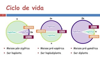Ciclo de vida
7




    Meiose pós-zigótica   Meiose pré-espórica   Meiose pré-gamética
    Ser haplonte          Ser haplodiplonte     Ser diplonte
 