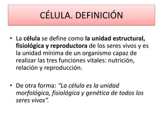CÉLULA. DEFINICIÓN
• La célula se define como la unidad estructural,
fisiológica y reproductora de los seres vivos y es
la unidad mínima de un organismo capaz de
realizar las tres funciones vitales: nutrición,
relación y reproducción.
• De otra forma: “La célula es la unidad
morfológica, fisiológica y genética de todos los
seres vivos”.

 
