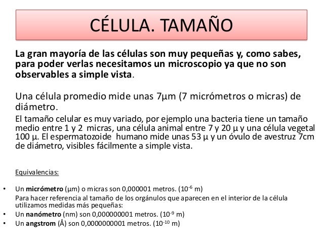 La célula.