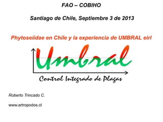 FAO – COBIHO
Santiago de Chile, Septiembre 3 de 2013

Phytoseiidae en Chile y la experiencia de UMBRAL eirl

Roberto Trincado C.
www.artropodos.cl

 