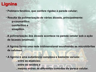 LLiiggnniinnaa 
• Polímero fenólico, que confere rigidez à parede celular; 
• Resulta da polimerização de vários álcoois, principalmente: 
p-coumarílico; 
coniferílico e 
sinapílico. 
. A polimerização dos álcoois acontece na parede celular sob a ação 
de lacases (enzimas); 
. A lignina forma uma rede tridimensional envolvendo as microbibrilas 
de celulose; 
• A lignina é uma substância complexa e bastante variada: 
. entre as espécies; 
. entre os tecidos e 
. mesmo entres as diferentes camadas da parece celular. 
 