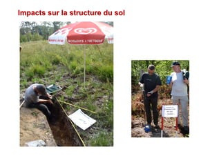 Impacts sur la structure du solImpacts sur la structure du sol
 
