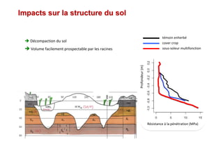 Impacts sur la structure du solImpacts sur la structure du sol
Décompaction du sol
Volume facilement prospectable par les racines
Résistance à la pénétration (MPa)
témoin enherbé
cover crop
sous-soleur multifonction
Profondeur(m)
 