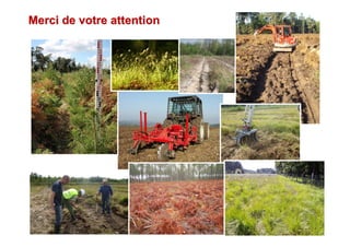 Merci de votre attentionMerci de votre attention
 