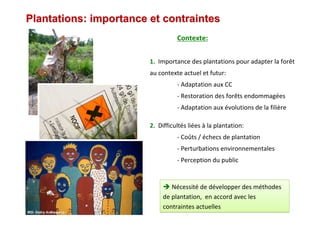 Plantations: importance et contraintesPlantations: importance et contraintes
Contexte:
1. Importance des plantations pour adapter la forêt
au contexte actuel et futur:
- Adaptation aux CC
- Restoration des forêts endommagées
- Adaptation aux évolutions de la filière
Nécessité de développer des méthodes
de plantation, en accord avec les
contraintes actuelles
Nécessité de développer des méthodes
de plantation, en accord avec les
contraintes actuelles
2. Difficultés liées à la plantation:
- Coûts / échecs de plantation
- Perturbations environnementales
- Perception du public
 