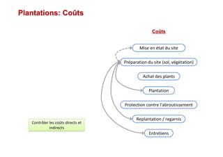 Plantations: CoPlantations: Coûûtsts
CoCoûûtsts
Mise en état du site
Préparation du site (sol, végétation)
Achat des plants
Plantation
Protection contre l'abroutissement
Replantation / regarnis
Entretiens
Contrôler les coûts directs et
indirects
Contrôler les coûts directs et
indirects
 