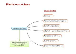 Plantations:Plantations: ééchecschecs
Causes d'Causes d'ééchecchec
Cervidés
Excès / manque d'eau
Végétation spontanée compétitrice
Températures extrêmes
Qualité des plants
Sol (compaction, fertilité …)
Rongeurs, insectes, champignons
Lever les contraintes liées
au sol et à la végétation
(et aux insectes)
Lever les contraintes liées
au sol et à la végétation
(et aux insectes)
Préparation du site
 