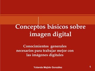 Conceptos básicos sobre imagen digital Conocimientos  generales necesarios para trabajar mejor con las imágenes digitales Yolanda Mejido González 1 