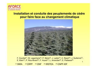 Installation et conduite des peuplements de cèdre 
pour faire face au changement climatique 
F. Courbet(1), M. Lagacherie(2), P. Marty(2), J. Ladier(3), C. Ripert(4), J. Guillemot(1), 
E. Klein(1), P. Riou-Nivert(5), F. Huard(1), L. Amandier(2), E. Paillassa(5) 
(1) INRA (2) CRPF (3) ONF (4) IRSTEA (5) CNPF-IDF 
1 
 