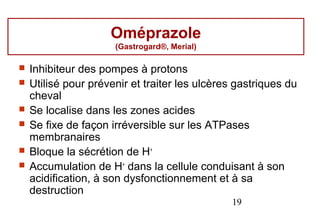 Oméprazole
                      (Gastrogard®, Merial)

   Inhibiteur des pompes à protons
   Utilisé pour prévenir et traiter les ulcères gastriques du
    cheval
   Se localise dans les zones acides
   Se fixe de façon irréversible sur les ATPases
    membranaires
   Bloque la sécrétion de H+
   Accumulation de H+ dans la cellule conduisant à son
    acidification, à son dysfonctionnement et à sa
    destruction
                                               19
 