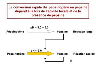 La conversion rapide du pepsinogène en pepsine
     dépend à la fois de l’acidité locale et de la
               présence de pepsine


              pH = 3.0 – 5.0
Pepsinogène                    Pepsine        Réaction lente




              pH < 3.0
Pepsinogène                    Pepsine        Réaction rapide

                                         28
 