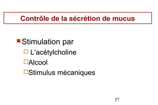Contrôle de la sécrétion de mucus


 Stimulation   par
  L’acétylcholine
  Alcool
  Stimulus mécaniques



                            37
 