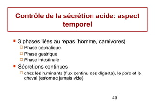Contrôle de la sécrétion acide: aspect
               temporel

   3 phases liées au repas (homme, carnivores)
     Phase céphalique
     Phase gastrique
     Phase intestinale
   Sécrétions continues
     chez les ruminants (flux continu des digesta), le porc et le
      cheval (estomac jamais vide)



                                                   40
 