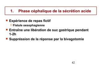 1.    Phase céphalique de la sécrétion acide

   Expérience de repas fictif
     Fistule   oesophagienne
   Entraîne une libération de suc gastrique pendant
    1-2h
   Suppréssion de la réponse par la bivagotomie




                                         42
 