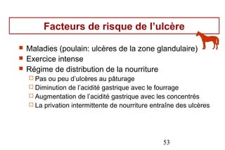 Facteurs de risque de l’ulcère

   Maladies (poulain: ulcères de la zone glandulaire)
   Exercice intense
   Régime de distribution de la nourriture
     Pas ou peu d’ulcères au pâturage
     Diminution de l’acidité gastrique avec le fourrage
     Augmentation de l’acidité gastrique avec les concentrés
     La privation intermittente de nourriture entraîne des ulcères




                                                  53
 