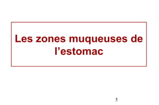 Les zones muqueuses de
       l’estomac



                 5
 