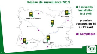 17
Réseau de surveillance 2019
: Cuvettes
installation
le 2 avril
premiers
vecteurs du 15
au 29 avril
: Comptages
 