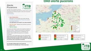 19
OAD alerte pucerons
 