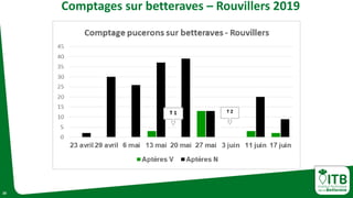 20
Comptages sur betteraves – Rouvillers 2019
T 1 T 2
 