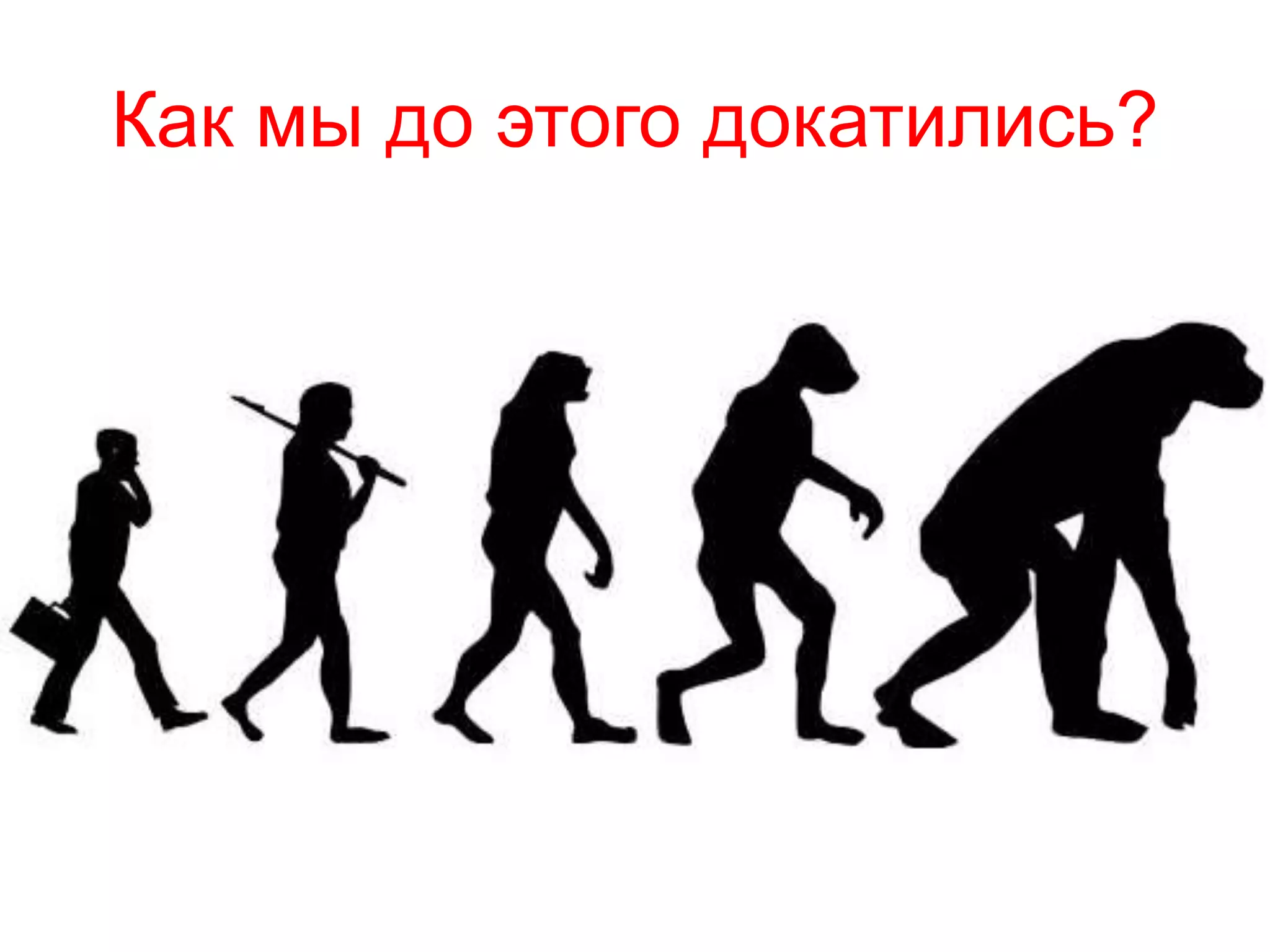 Как мы до этого докатились?
 