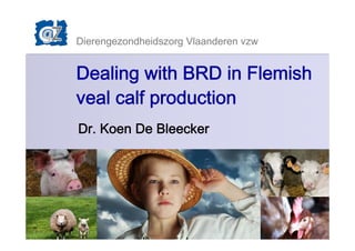 Dierengezondheidszorg Vlaanderen vzw
1
Dealing with BRD in Flemish
veal calf production
Dr. Koen De Bleecker
Dierengezondheidszorg Vlaanderen vzw
 