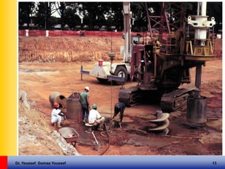 Dr. Youssef Gomaa Youssef 13
 