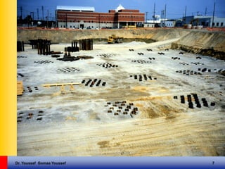 Dr. Youssef Gomaa Youssef 7
 