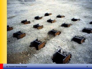 Dr. Youssef Gomaa Youssef 8
 