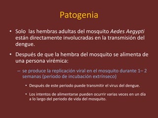Patogenia
• Solo las hembras adultas del mosquito Aedes Aegypti
están directamente involucradas en la transmisión del
dengue.
• Después de que la hembra del mosquito se alimenta de
una persona virémica:
– se produce la replicación viral en el mosquito durante 1– 2
semanas (periodo de incubación extrínseco)
• Después de este periodo puede transmitir el virus del dengue.
• Los intentos de alimentarse pueden ocurrir varias veces en un día
a lo largo del periodo de vida del mosquito.
 