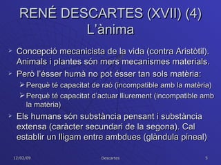 RENÉ DESCARTES (XVII) (4) L’ànima Concepció mecanicista de la vida (contra Aristòtil). Animals i plantes són mers mecanismes materials. Però l’ésser humà no pot ésser tan sols matèria: Perquè té capacitat de raó (incompatible amb la matèria) Perquè té capacitat d’actuar lliurement (incompatible amb la matèria) Els humans són substància pensant i substància extensa (caràcter secundari de la segona). Cal establir un lligam entre ambdues (glàndula pineal) 