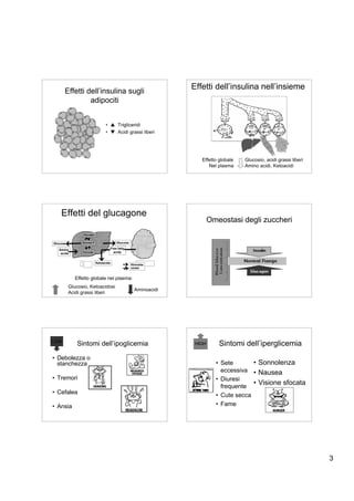 Effetti dell’insulina nell’insieme
      Effetti dell’insulina sugli
               adipociti


                                  • ▲ Trigliceridi
                                  • ▼ Acidi grassi liberi




                                                                    Effetto globale   Glucosio, acidi grassi liberi
                                                                       Nel plasma     Amino acidi, Ketoacidi




    Effetti del glucagone
                                                                         Omeostasi degli zuccheri
                Glycogen


Glucose         Glucose-P               Glucose

   Amino                            Free fatty
    acids       Pyruvate              acids


                            Ketoacids             Stimulate
                                                  Inhibit


             Effetto globale nel plasma:
          Glucosio, Ketoacidosi
                                                    Aminoacidi
          Acidi grassi liberi




LOW
              Sintomi dell’ipoglicemia                            HIGH      Sintomi dell’iperglicemia
• Debolezza o
  stanchezza                                                               • Sete       • Sonnolenza
                                                                             eccessiva • Nausea
• Tremori                                                                  • Diuresi
                                                                             frequente
                                                                                        • Visione sfocata
• Cefalea                                                                  • Cute secca
• Ansia                                                                    • Fame




                                                                                                                      3
 