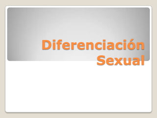 Diferenciación
       Sexual
 