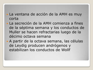  La ventana de acción de la AMH es muy
  corta
 La secreción de la AMH comienza a fines
  de la séptima semana y los conductos de
  Muller se hacen refractarias luego de la
  décimo octava semana
 A partir de la octava semana, las células
  de Leydig producen andrógenos y
  estabilizan los conductos de Wollf
 