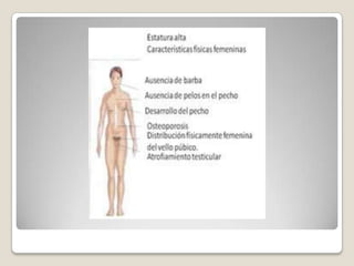 7. diferenciación sexual