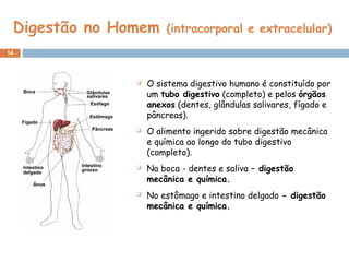 Digestão no Homem (intracorporal e extracelular)
14
 O sistema digestivo humano é constituído por
um tubo digestivo (completo) e pelos órgãos
anexos (dentes, glândulas salivares, fígado e
pâncreas).
 O alimento ingerido sobre digestão mecânica
e química ao longo do tubo digestivo
(completo).
 Na boca - dentes e saliva – digestão
mecânica e química.
 No estômago e intestino delgado - digestão
mecânica e química.
 