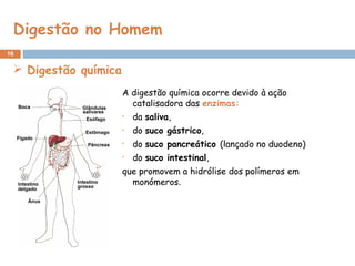 Digestão no Homem
16
A digestão química ocorre devido à ação
catalisadora das enzimas:
• da saliva,
• do suco gástrico,
• do suco pancreático (lançado no duodeno)
• do suco intestinal,
que promovem a hidrólise dos polímeros em
monómeros.
 Digestão química
 