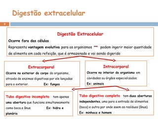 Digestão extracelular
9
Digestão Extracelular
Ocorre fora das células
Representa vantagem evolutiva para os organismos podem ingerir maior quantidade
de alimento em cada refeição, que é armazenado e vai sendo digerido
Extracorporal
Ocorre no exterior do corpo do organismo,
através de enzimas digestivas por ele lançadas
para o exterior. Ex: fungos
Intracorporal
Ocorre no interior do organismo em
cavidades ou órgãos especializados.
Ex: animais
Tubo digestivo incompleto tem apenas
uma abertura que funciona simultaneamente
como boca e ânus. Ex: hidra e
planária
Tubo digestivo completo tem duas aberturas
independentes, uma para a entrada de alimentos
(boca) e outra por onde saem os resíduos (ânus).
Ex: minhoca e homem
 