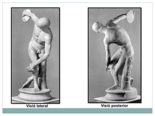 Visió lateral Visió posterior 
 