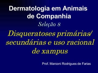 Disqueratoses primárias/ secundárias e uso racional de xampus Dermatologia em Animais  de Companhia Seleção 8 Prof. Marconi Rodrigues de Farias 