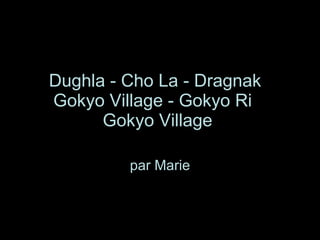 Dughla - Cho La - Dragnak  Gokyo Village - Gokyo Ri  Gokyo Village   par Marie 