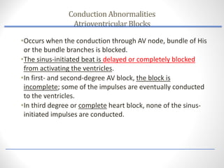 Comprehensive Assessment of Cardiovascular Dysrhythmias and Conduction ...