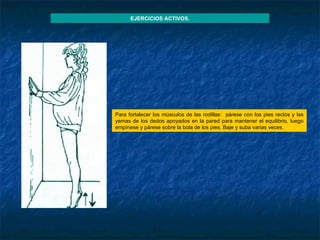 Para fortalecer los músculos de las rodillas:  párese con los pies rectos y las yemas de los dedos apoyados en la pared para mantener el equilibrio, luego empínese y párese sobre la bola de los pies. Baje y suba varias veces. EJERCICIOS ACTIVOS. 