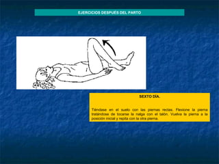 SEXTO DÍA.   Tiéndase en el suelo con las piernas rectas. Flexione la pierna tratándose de tocarse la nalga con el talón. Vuelva la pierna a la posición inicial y repita con la otra pierna. EJERCICIOS DESPUÉS DEL PARTO 