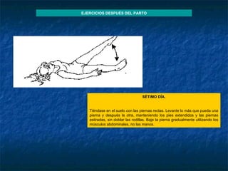 SÉTIMO DÍA.   Tiéndase en el suelo con las piernas rectas. Levante lo más que pueda una pierna y después la otra, manteniendo los pies extendidos y las piernas estiradas, sin doblar las rodillas. Baje la pierna gradualmente utilizando los músculos abdominales, no las manos. EJERCICIOS DESPUÉS DEL PARTO 