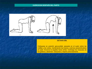 OCTAVO DÍA.   Colóquese en posición genucubital, apoyada en el suelo sobre las rodillas y los codos, manteniendo los brazos y piernas perpendiculares al suelo. Encorve la espalda hacia arriba. Contraiga los músculos de los glúteos y abdomen. Descanse y respire profundamente. EJERCICIOS DESPUÉS DEL PARTO 